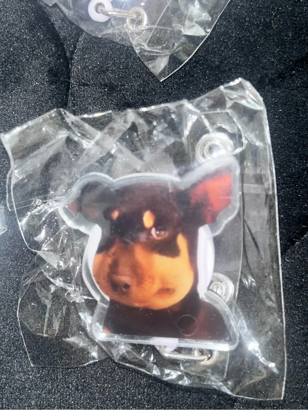 2 for $8 Extendable Badge Holders